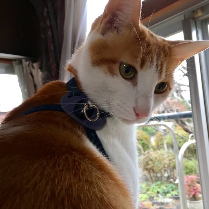 Dee1cb71 a0a4 4666 adbf 5fb2ddc9418b