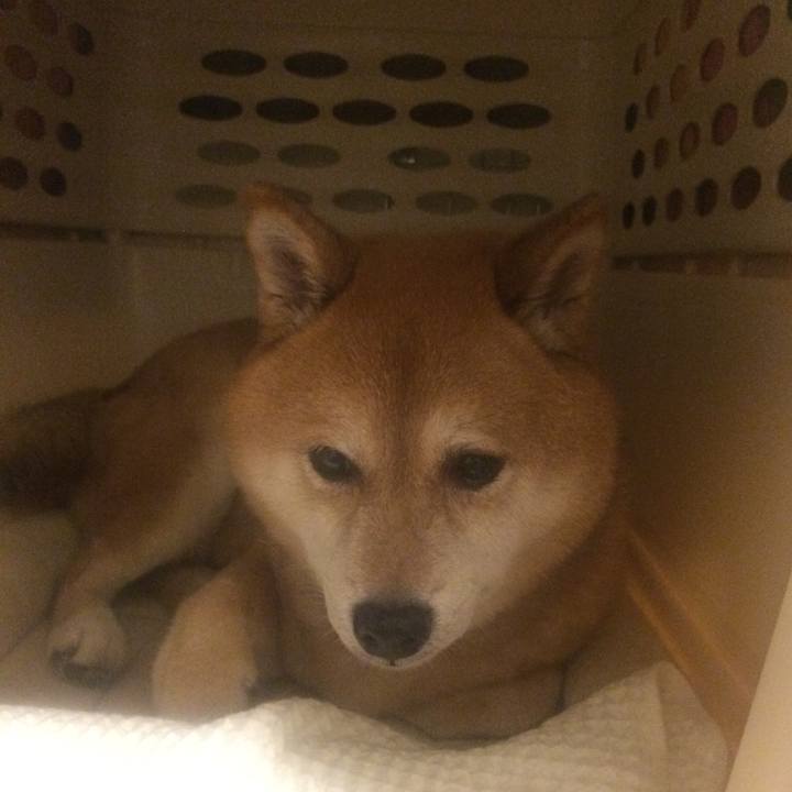 Dee3a66c dd03 4f88 987e fdb6b4d526d3