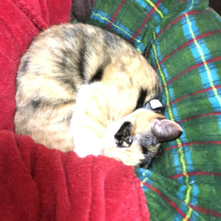 Dee3e7af 7898 4398 a47d ada8332f5b2b