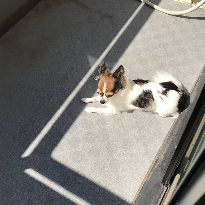 Dee3eb10 fc9d 483f 9e87 fb6c8f02d31d