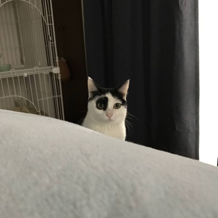 Dee45e4c 2e74 428d 9c69 c40427ffba66