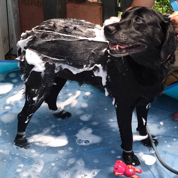 Dee497ba 8016 4007 89e9 49bae1bcb3c1