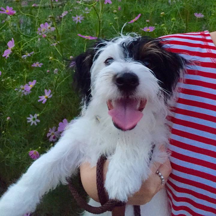 Dee5522b 5768 4865 92c9 c0e5976d5e87