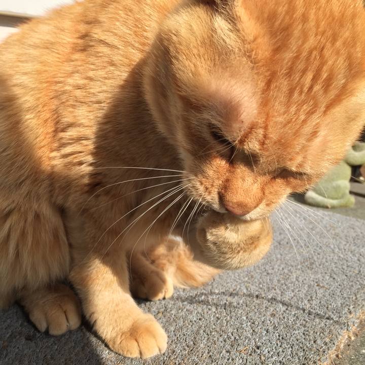 Dee57b60 1041 43c3 bbb3 1647c311b05c