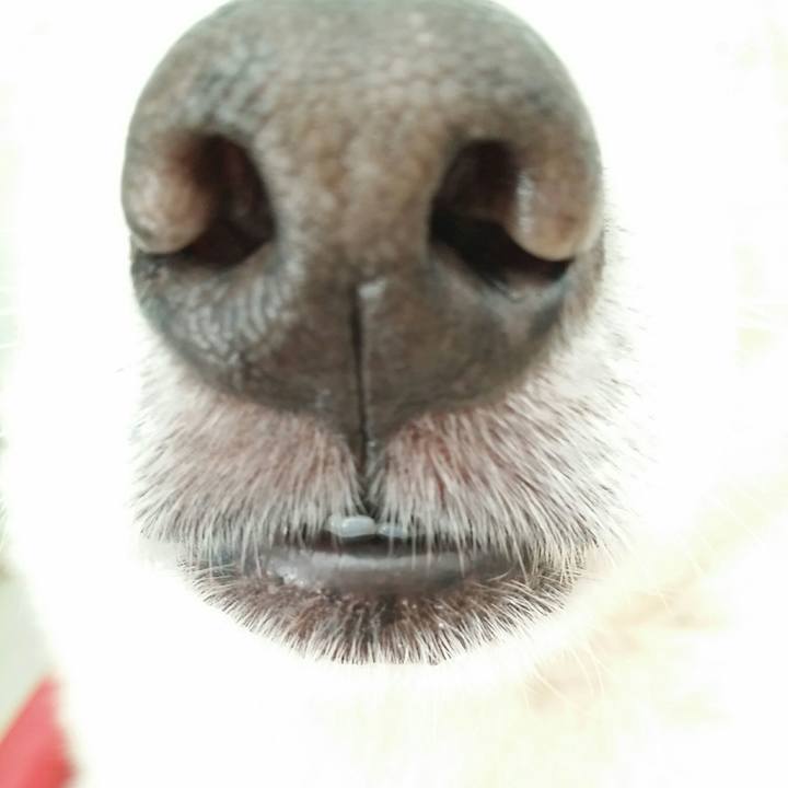 Dee715db a4b3 43b4 9787 3807cbedcc23