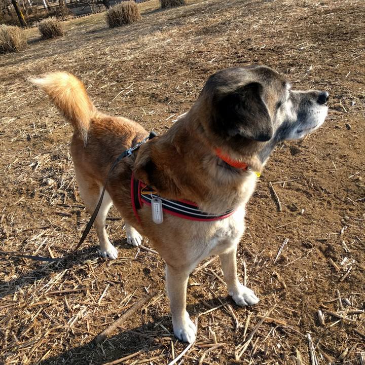 Dee737bf 1d4e 49bf a189 756dde7c476b