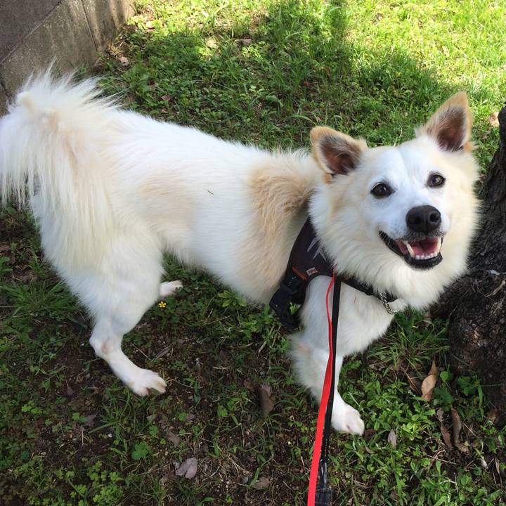 Dee800e5 84a6 4097 945d 0574da443cb2