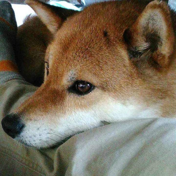 Dee8b0d9 f888 4444 b89e d85caac7a884