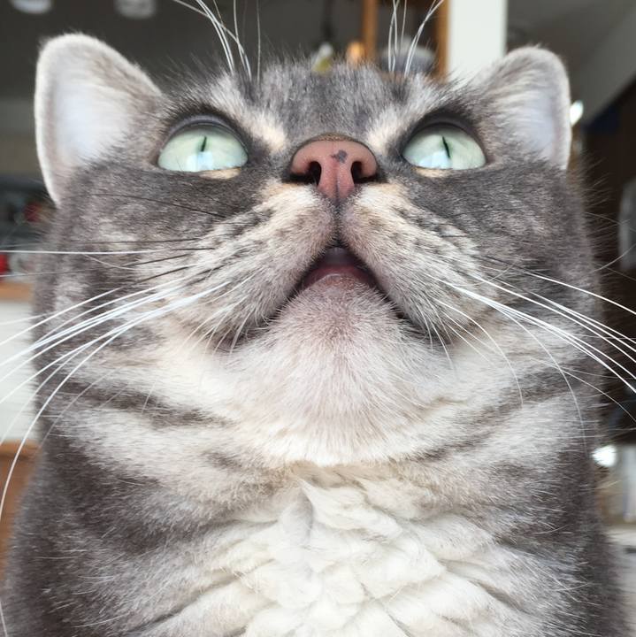 Dee8e0f0 bbcb 4a5f 86ad 9f138c63f8a0