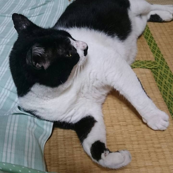 Dee96c97 6309 4994 a71c 899f6813ffc2