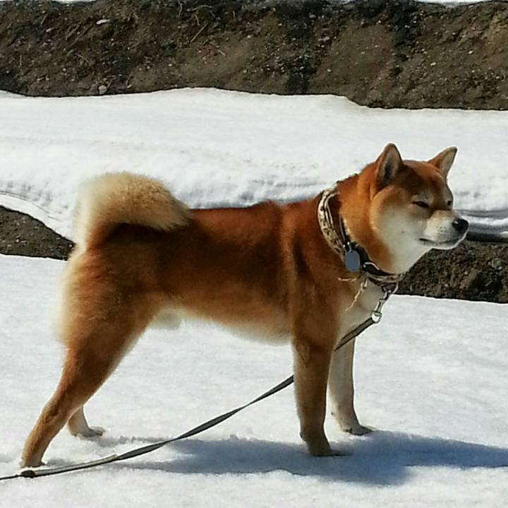 Dee9be91 6214 47f6 bd96 30dfbbc6ce97