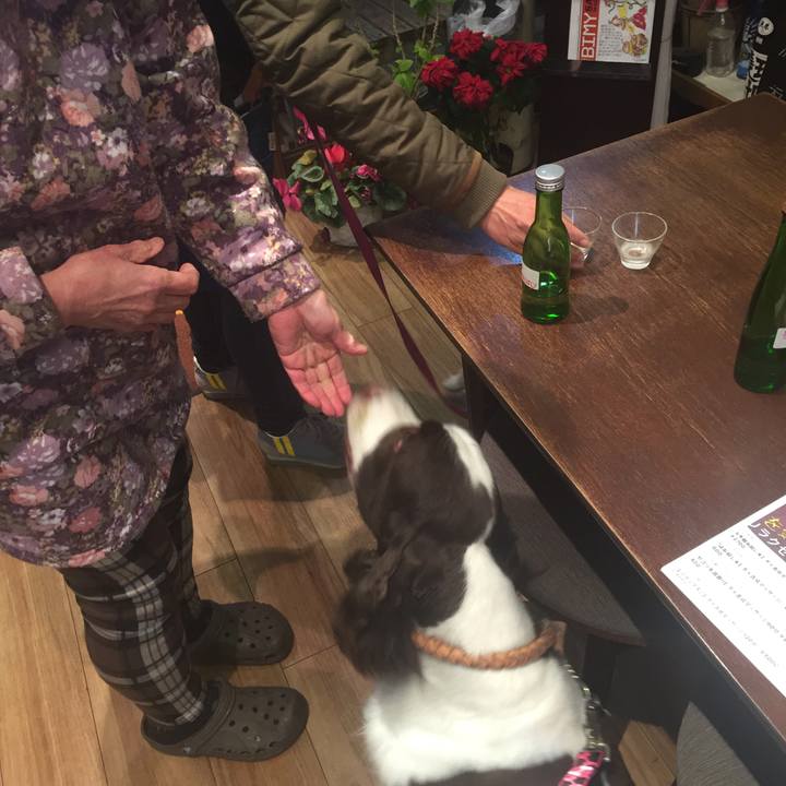 Dee9d994 544c 43d8 8424 9deeff059ff8