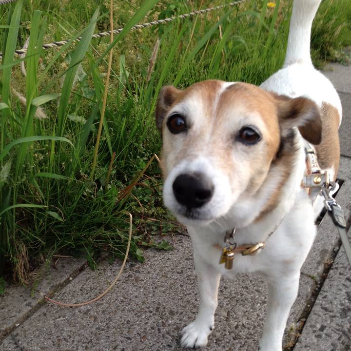 Deea40c3 b705 412c beea 93995e648cfb