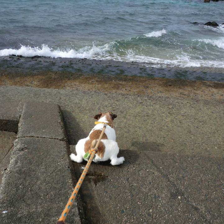 Deeabba5 2f2e 4bb9 96f0 76a4a8177e43