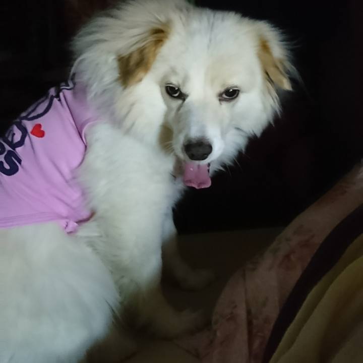 Deeafc47 2bc9 4899 932a bfb199846c41