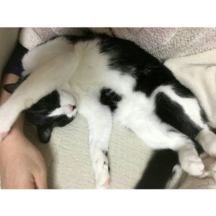 Deebca25 6884 4550 8fb8 be966b2a800f