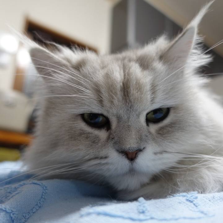 Deebe854 a96b 4e2e b2c1 527cd08b6ed3