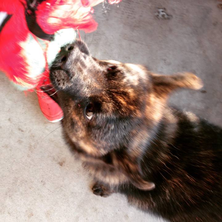 Deec6a69 93cd 45f2 9cf8 ad4eb97a26a2