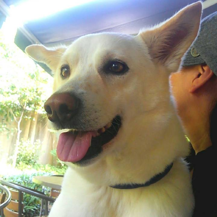 Deed5332 f104 4929 9daf 31e58b4ea9f1