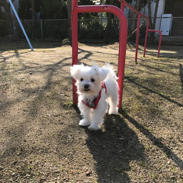 Deed6dd4 03ea 4bc4 95f4 1d3a0d6e718e