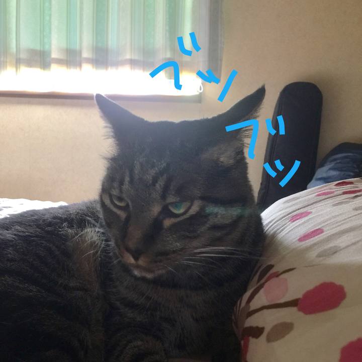 Deed8dd1 d75b 4fbd ba3a eb888ff42e3d