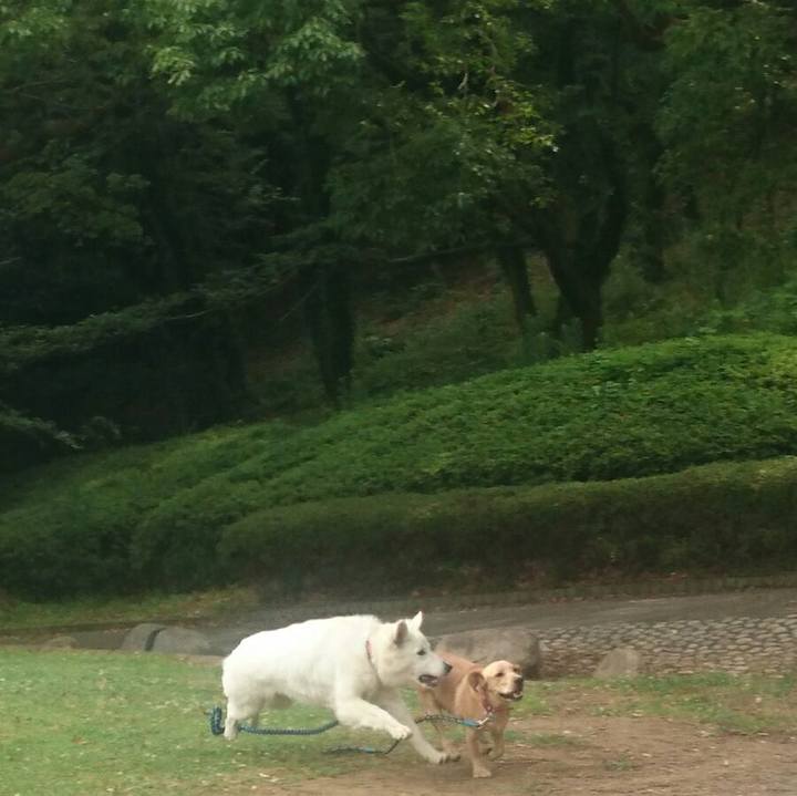 Deee6b3c 5e69 42f2 8e0d 5a02d99b5017