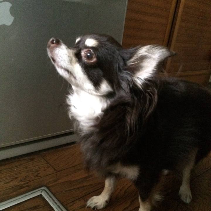 Deeefdce a2f6 4df1 a6b1 e50965cd45fd