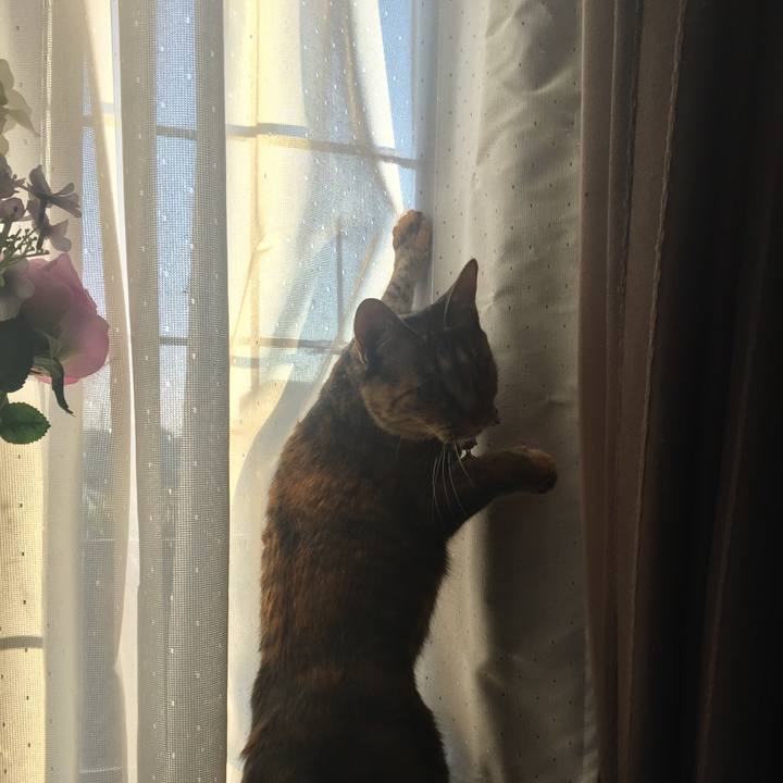 Deef4481 797a 4b86 8c26 dd27aac2dc3f