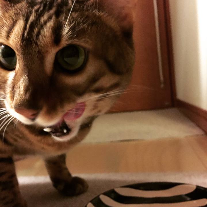 Def00a2b 8b09 4be1 9994 2ddbe8ce4c19