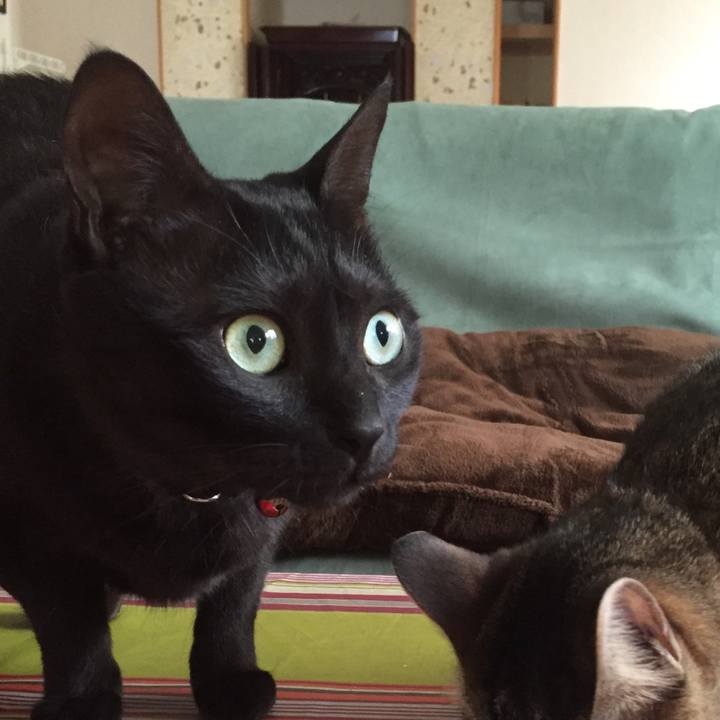 Def09595 7734 43cd bbbd 00935910904b