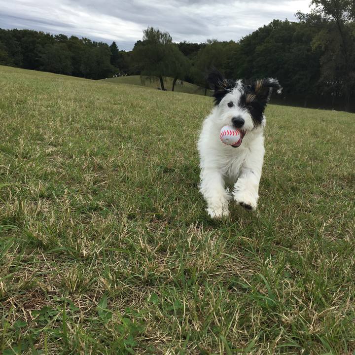 Def11ebd 0b99 42a3 8022 6f32d45a1410