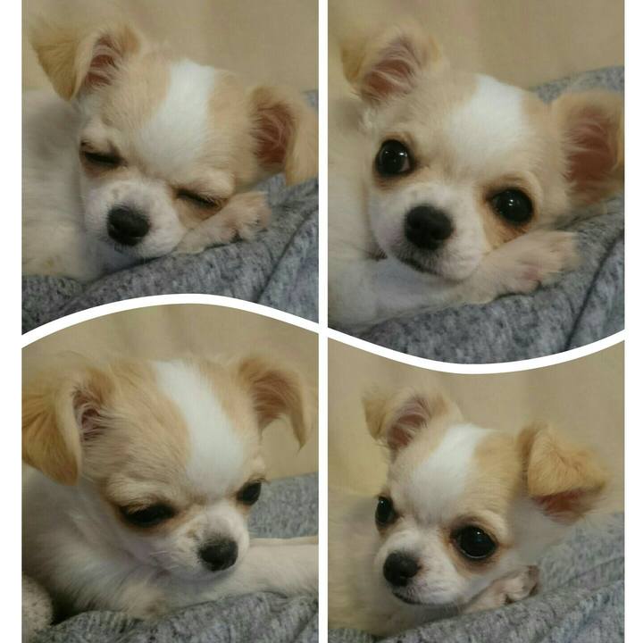 Def1779e bc41 439b 8f14 07426cbef566