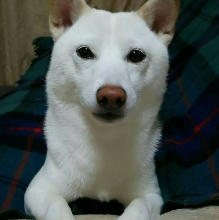 Def18c25 fa43 49d1 93c6 d1511346e12f