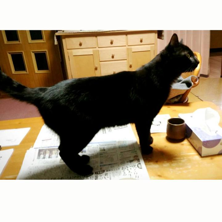 Def1b854 eb66 438c 8699 5332ee62f88b