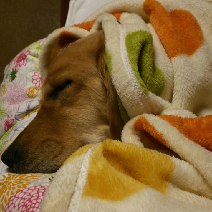 Def2015b 3a18 4830 a1e1 be210f532e7a