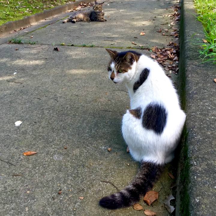 Def236b6 4a74 460a bc0a 8598fc6c00a8