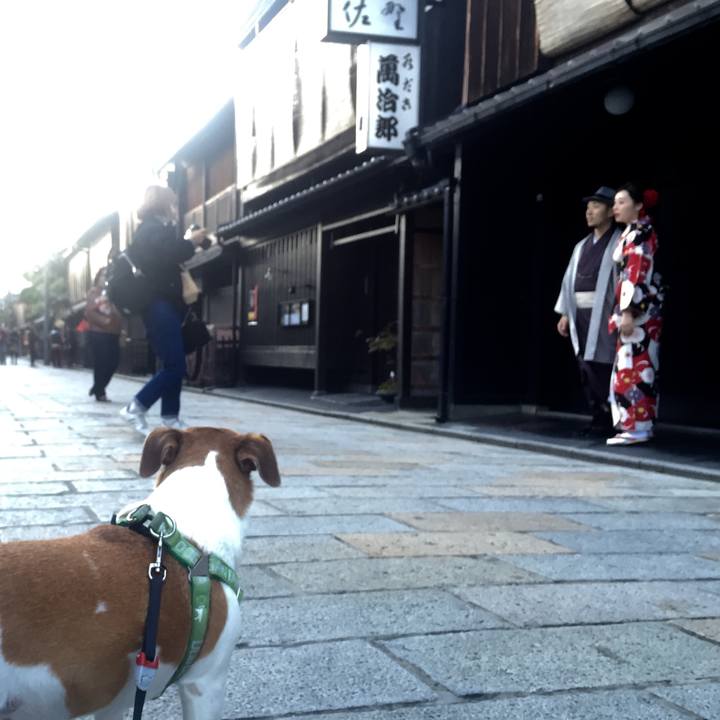 Def319ce f4cf 4521 b39f 403693262586