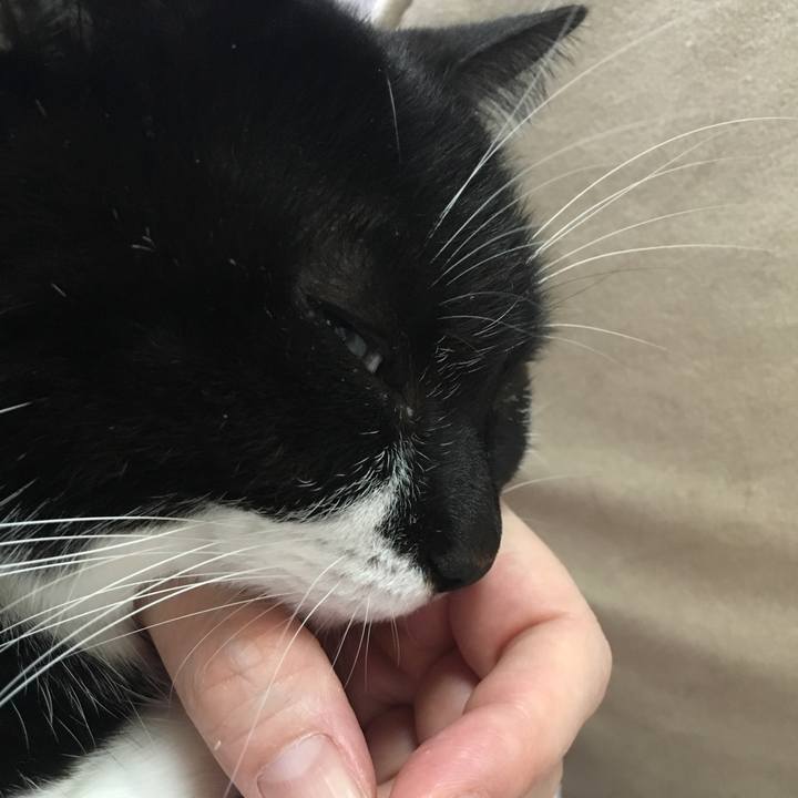 Def39733 1955 432a 8484 be826210c910