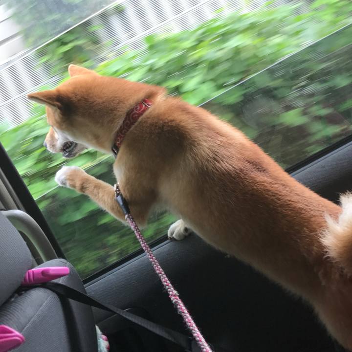 Def39b7a f253 4643 bed4 a77210515ccd