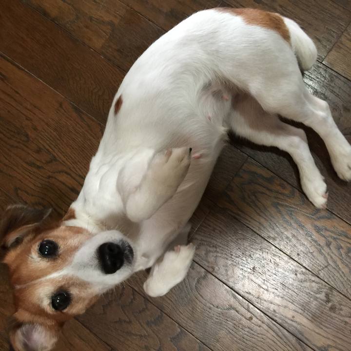 Def3a04a f102 4e76 ac3c 7550a6f6c210