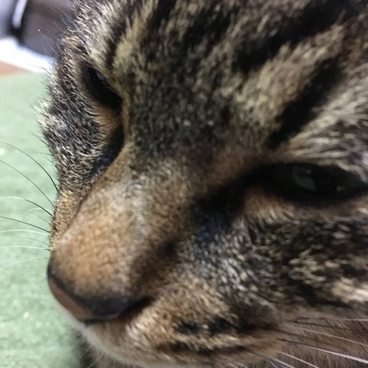 Def3c325 b178 4a8c ba46 b4b251c6ced5