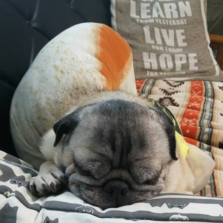 Def3d169 8b8b 4959 86f1 e213bd88111e