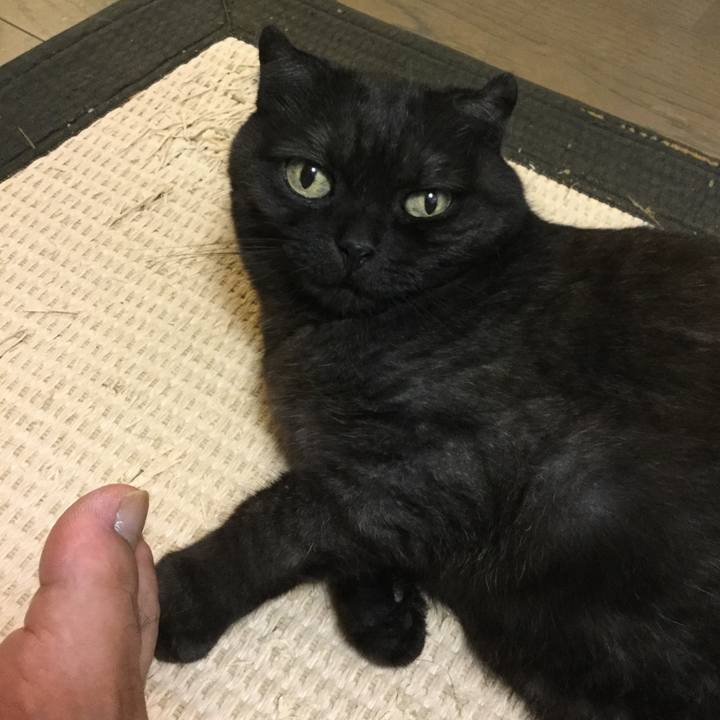 Def3e82c d908 4cf1 a7f4 3d4a702687f7