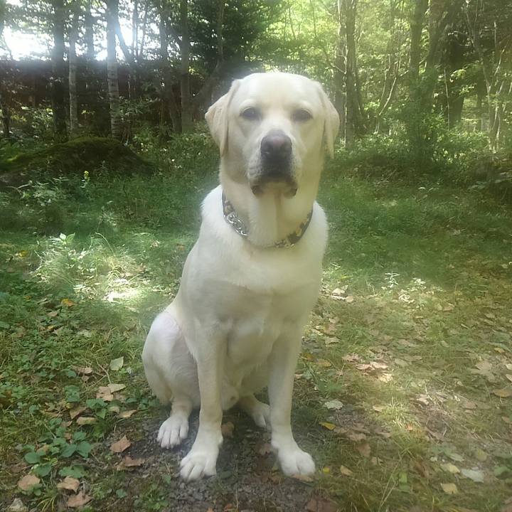 Def3f83f af8f 4dc4 9624 7c11ec2f252f