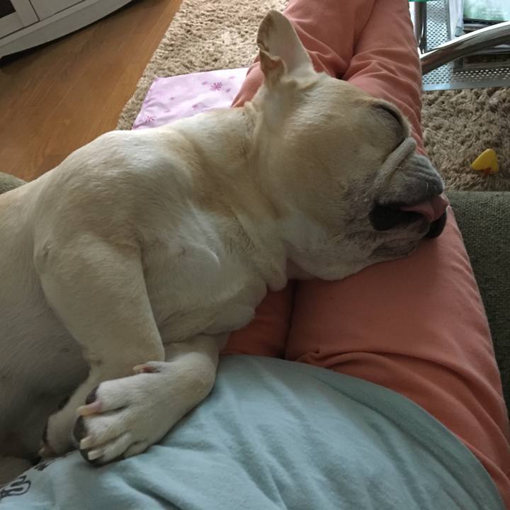 Def410b9 6ef1 4c01 bcd4 9759b700b951