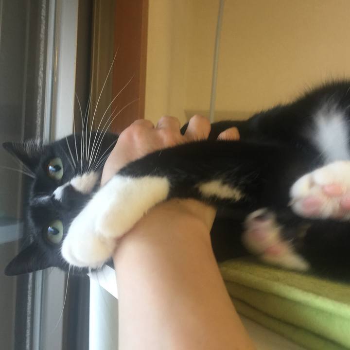 Def617e2 ee2d 4cce b9c2 2111739121b5