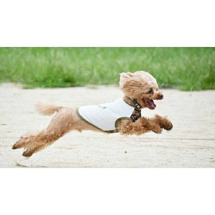 Def62d63 a937 433f a798 1d5bfc1d7d79