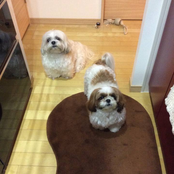 Def66082 c61f 482b 9954 332f1872eab7