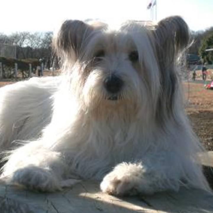 Def6a9f9 9ac5 4b52 9f1d fb1da4e40eff