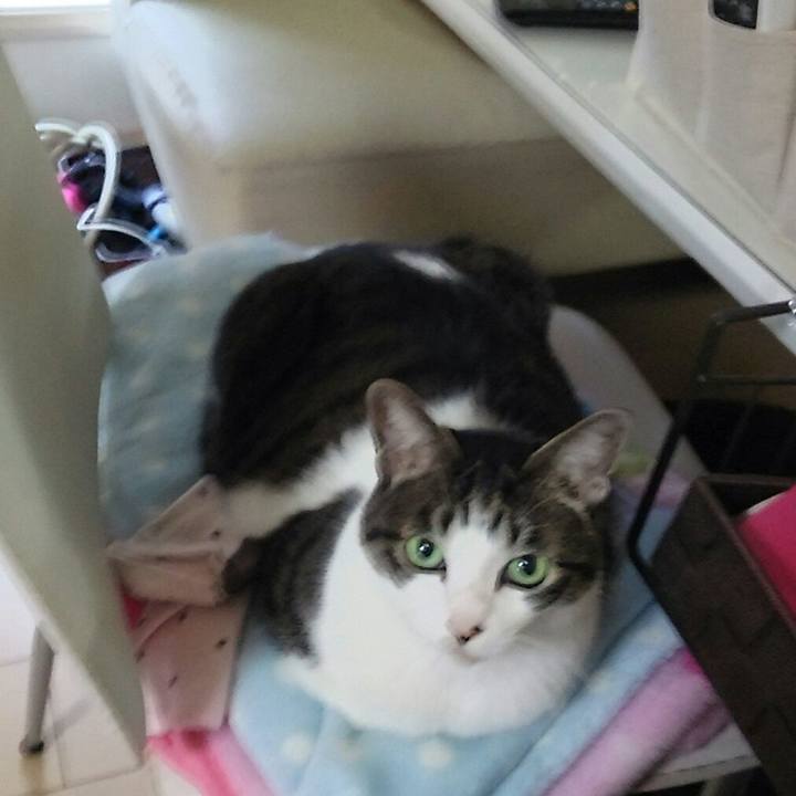 Def6f486 b564 4867 914a 33d0f6eda183